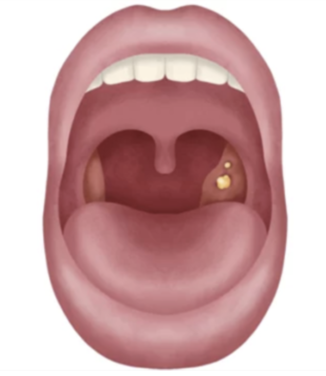 - 福山市の総合歯科 河底歯科・矯正歯科Blog