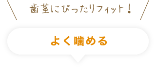 歯茎にぴったりフィット！よく噛める